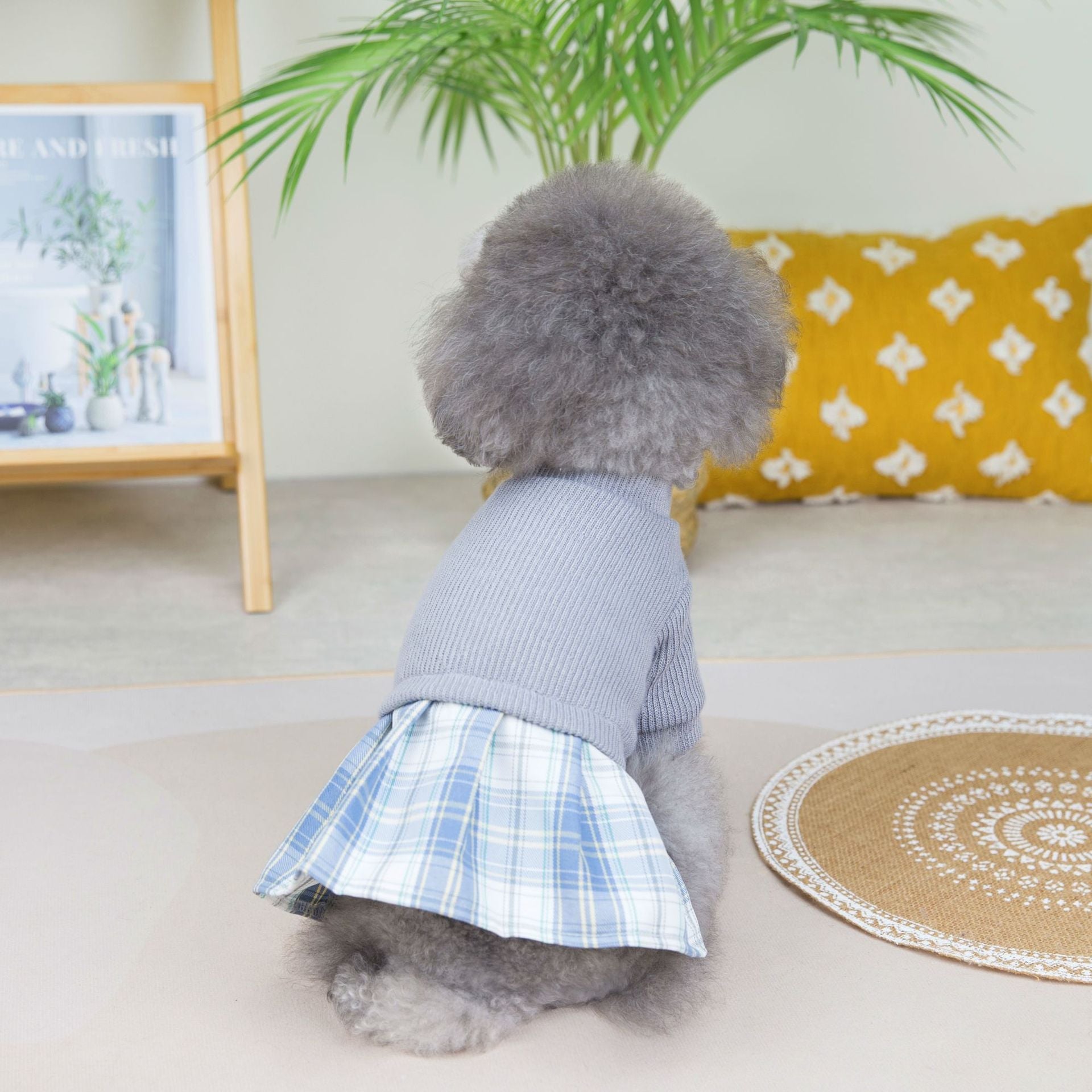 KFX-6482109 Wool Fabric Casual Dog Skirt and Pant Suit Set, Warm Pet Clothing