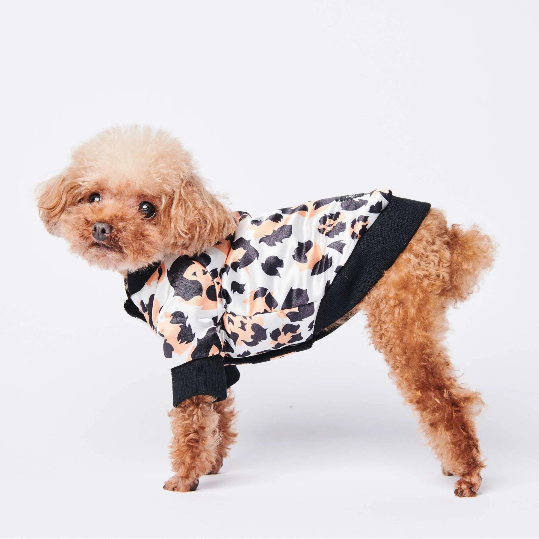 KFX-6485693 Leopard Print Cotton-Padded Dog Jacket for Autumn and Winter Warmth