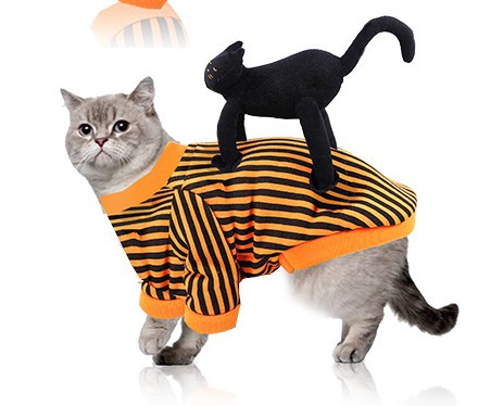 KFX-6487485 Pet Halloween Costume Collection: Skull, Spider, Bat Wings & Pumpkin Styles for Cats
