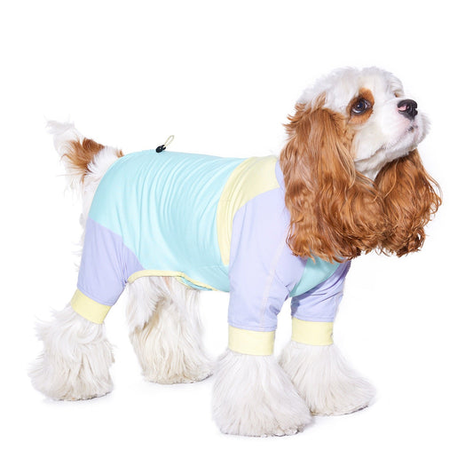 KFX-6488893 Lightweight Sun-Proof & Insect-Proof Clothing for Small Dogs in Blue and Pink