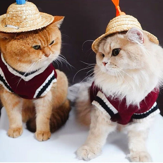 KFX-6499389 Warm College Style Winter Clothes for British Shorthair Cats and Small Dogs in Multiple Colors