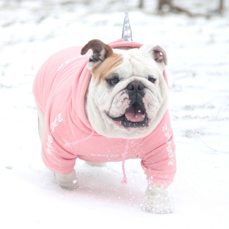 KFX-6502973 Cozy Coral Velvet Hoodie for Small to Medium Dogs - Winter Sweater for Yorkshire, Chihuahua, Alaska