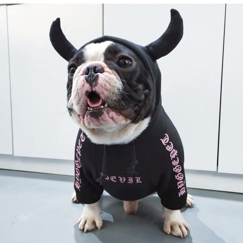 KFX-6502973 Cozy Coral Velvet Hoodie for Small to Medium Dogs - Winter Sweater for Yorkshire, Chihuahua, Alaska