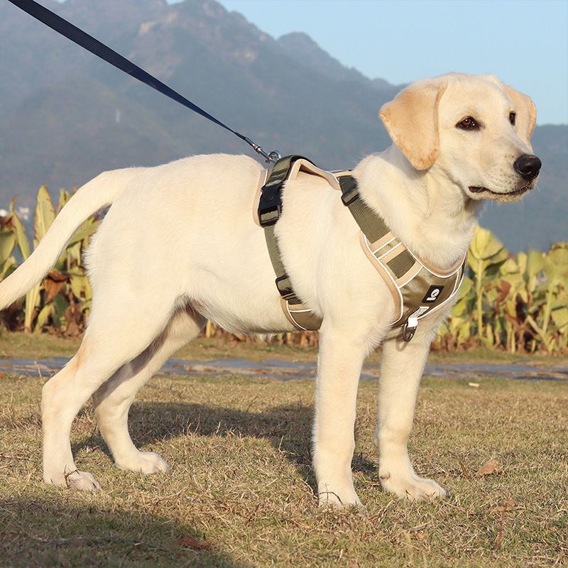 KFX-6503869 Explosion-Proof Chest Harness for Medium to Large Dogs - Purple, Lake Blue, Khaki, Black