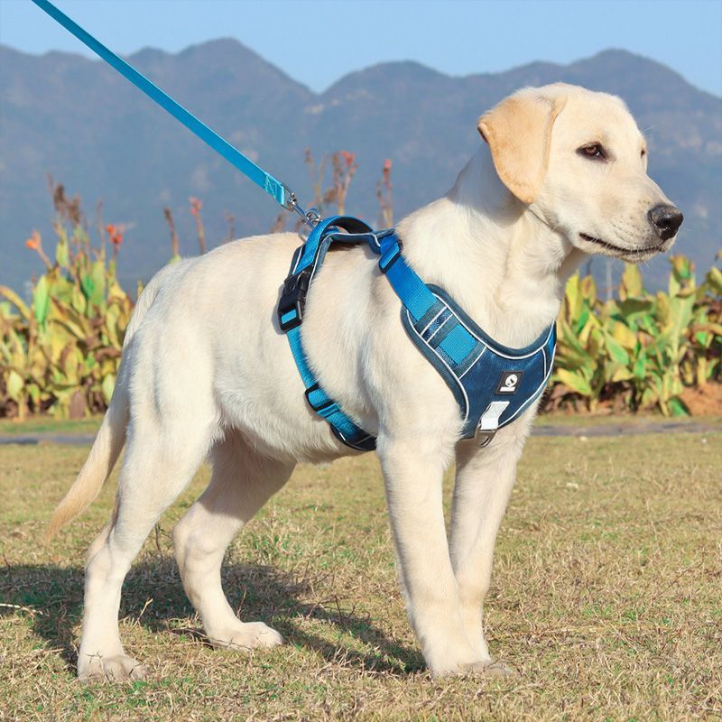 KFX-6503869 Explosion-Proof Chest Harness for Medium to Large Dogs - Purple, Lake Blue, Khaki, Black