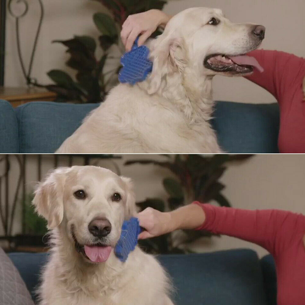 KFX-6506173 Pet Hair Remover Brush with Flexible Silicone Bristles for Gentle Grooming and Bathing