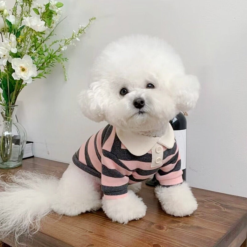 KFX-6509117 Puppy Polo Shirt for Small and Medium Dogs - Summer Striped Collared T-Shirt for Yorkies, Shih Tzus, and Dachshunds