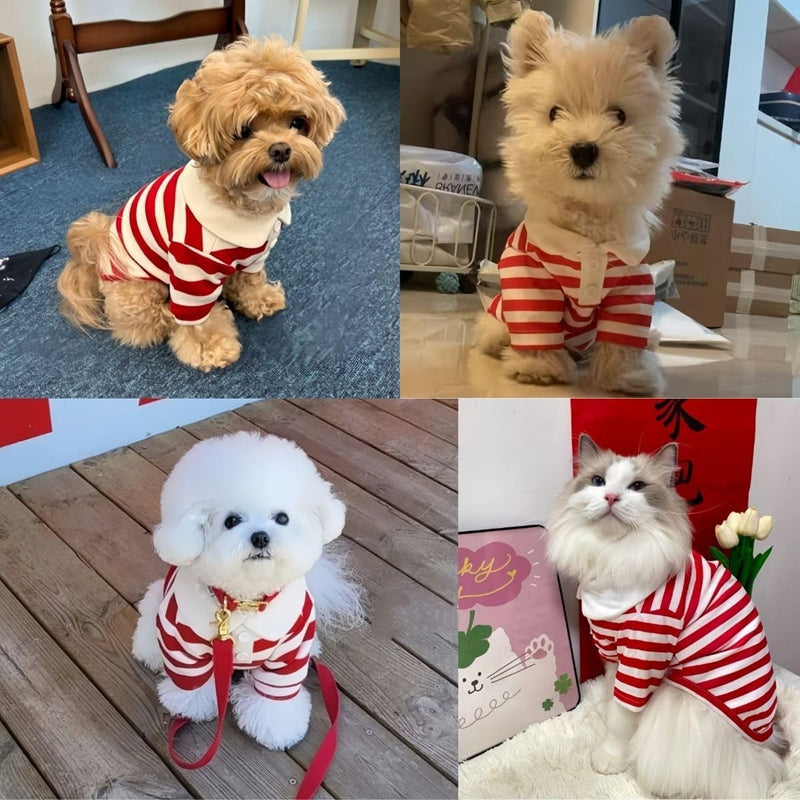KFX-6509117 Puppy Polo Shirt for Small and Medium Dogs - Summer Striped Collared T-Shirt for Yorkies, Shih Tzus, and Dachshunds
