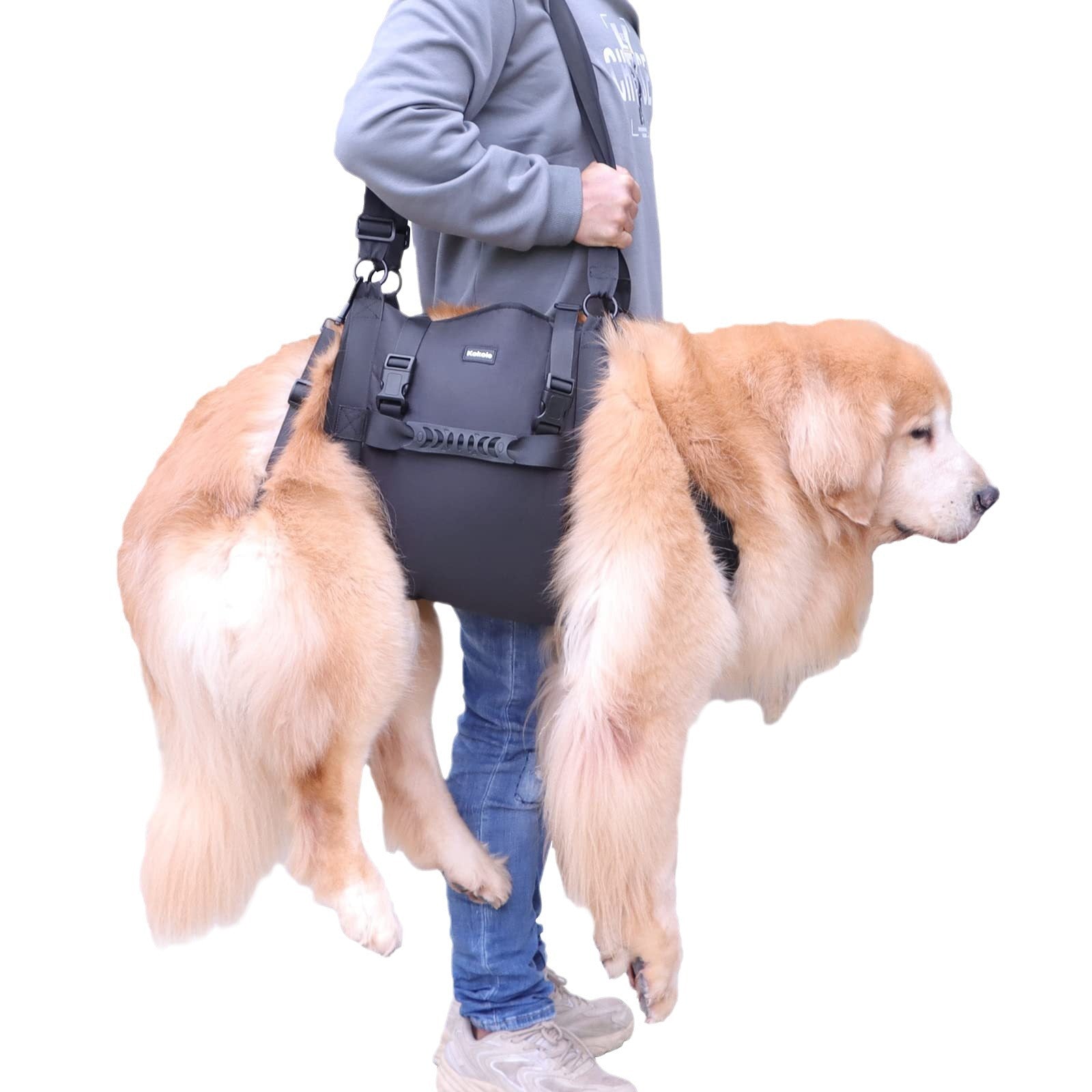 KFX-6509629 Outdoor Dog Harness with Leg Support and Oxford Fabric for Rehabilitation
