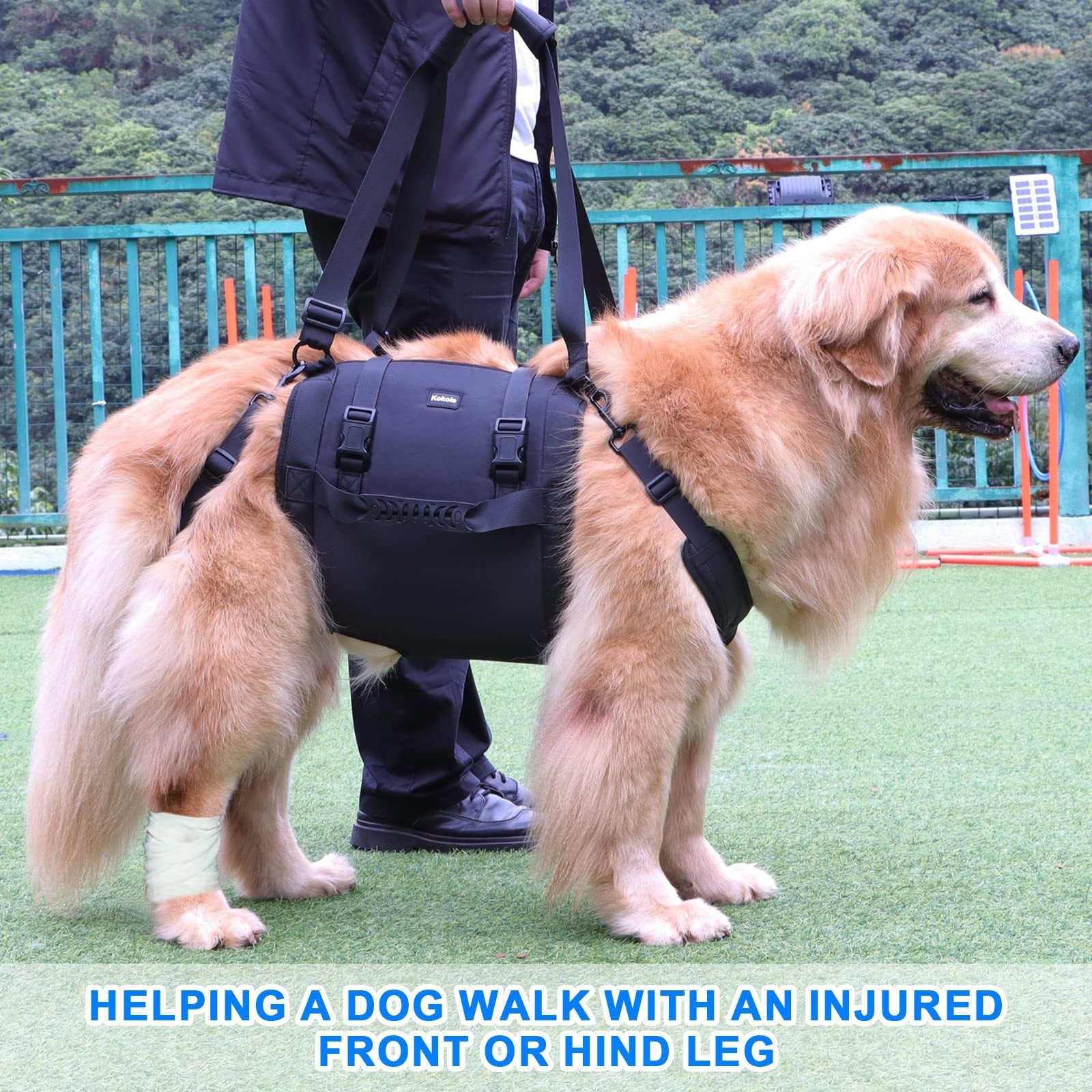 KFX-6509629 Outdoor Dog Harness with Leg Support and Oxford Fabric for Rehabilitation