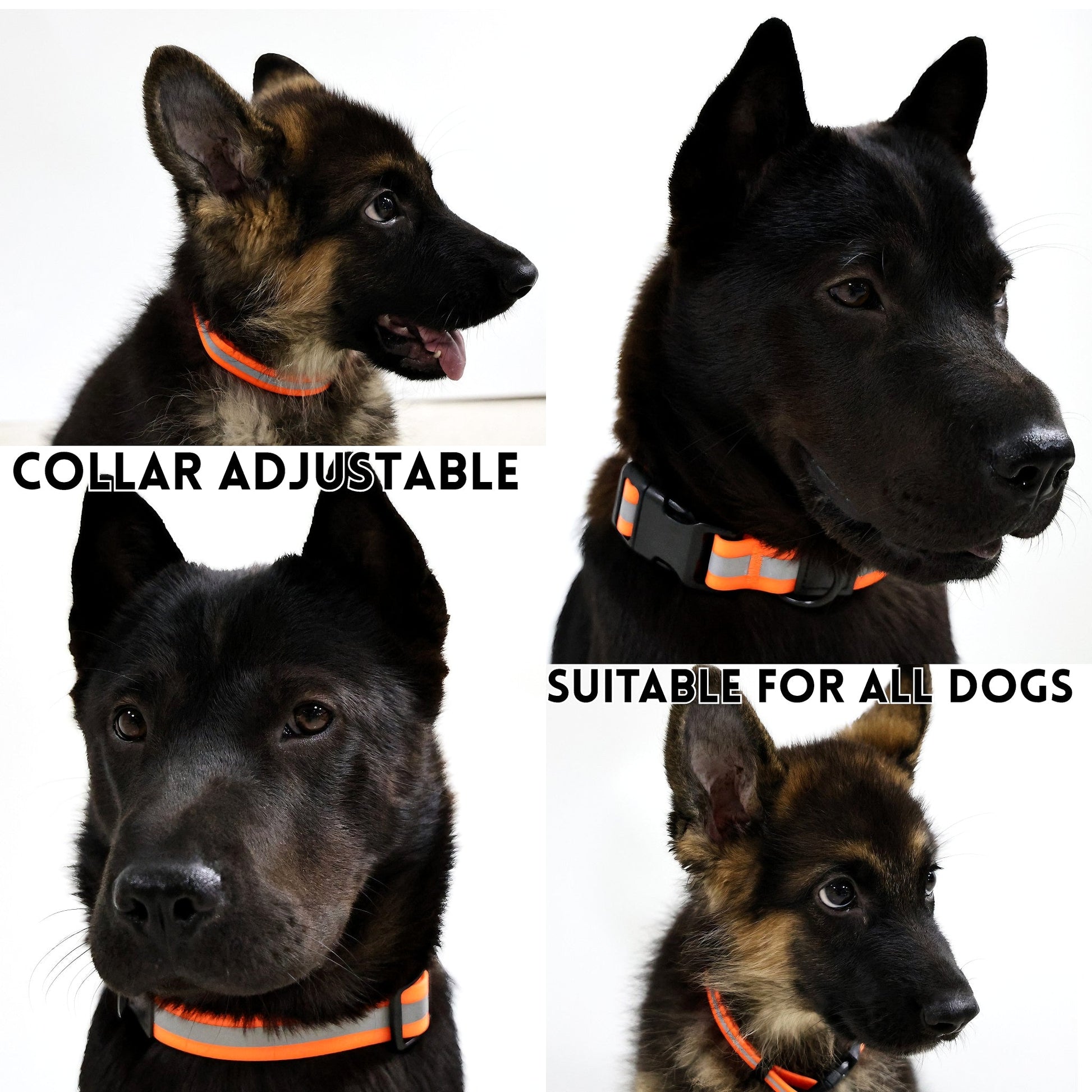 KFX-6525629 Reflective Dog Leash Set with Waterproof and Odor-Resistant Material for Enhanced Nighttime Visibility