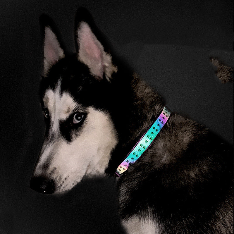 KFX-6530877 Reflective Holographic Dog Leash, Durable Nylon Webbing in Purple, Orange, or Black