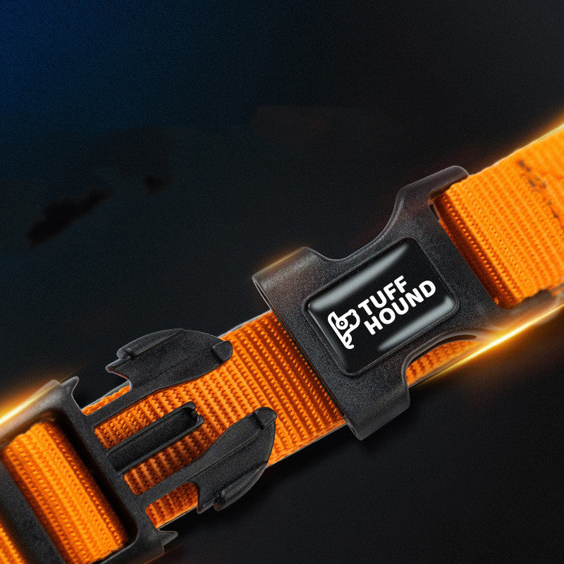 KFX-6530877 Reflective Holographic Dog Leash, Durable Nylon Webbing in Purple, Orange, or Black