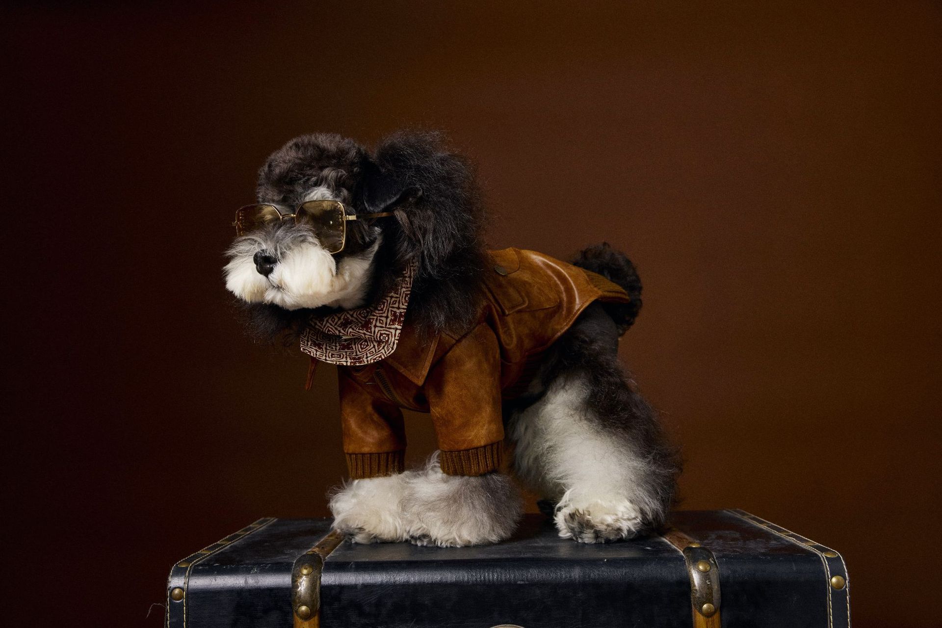 KFX-6532157 Brown Retro Style Long Sleeve PU Leather Coat for Schnauzer and Bichon Pets
