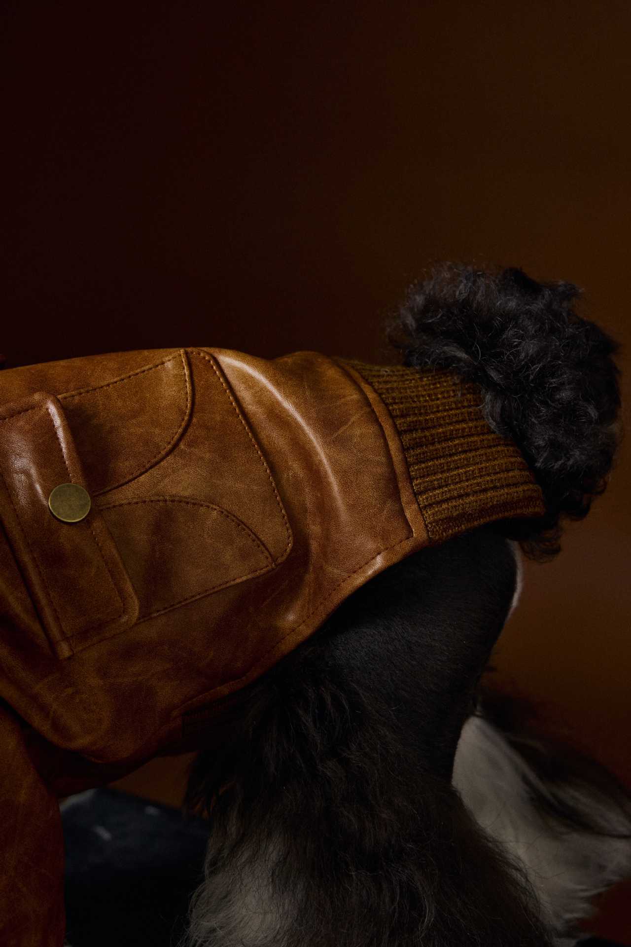 KFX-6532157 Brown Retro Style Long Sleeve PU Leather Coat for Schnauzer and Bichon Pets