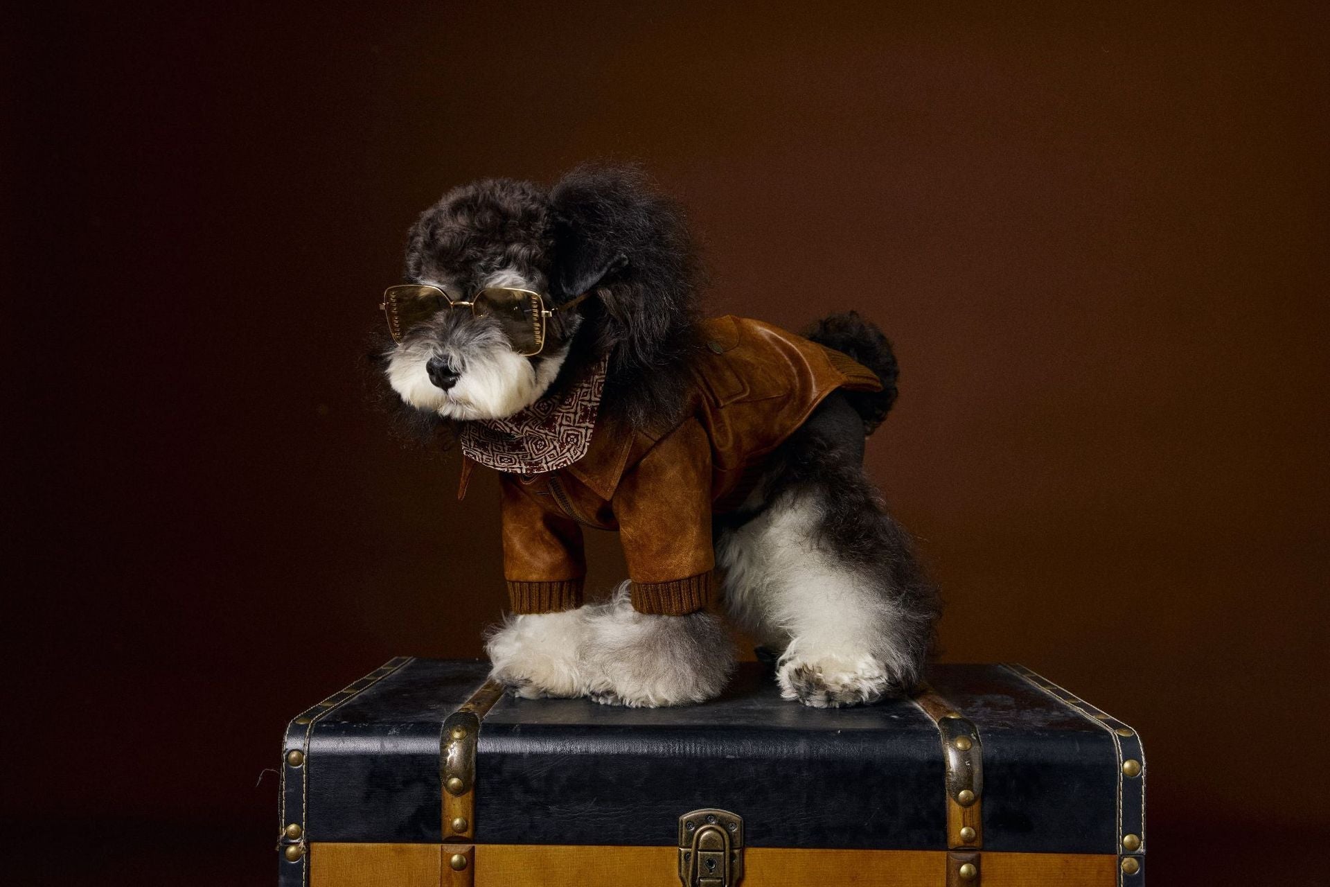 KFX-6532157 Brown Retro Style Long Sleeve PU Leather Coat for Schnauzer and Bichon Pets