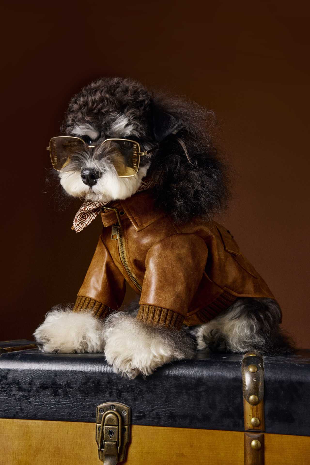 KFX-6532157 Brown Retro Style Long Sleeve PU Leather Coat for Schnauzer and Bichon Pets