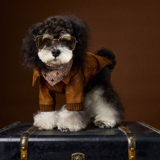 KFX-6532157 Brown Retro Style Long Sleeve PU Leather Coat for Schnauzer and Bichon Pets
