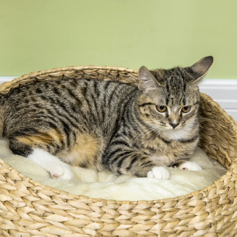 KFX-6533053 Elevated Cat Bed with Scratching Post and Cute Basket Design for Indoor Cats