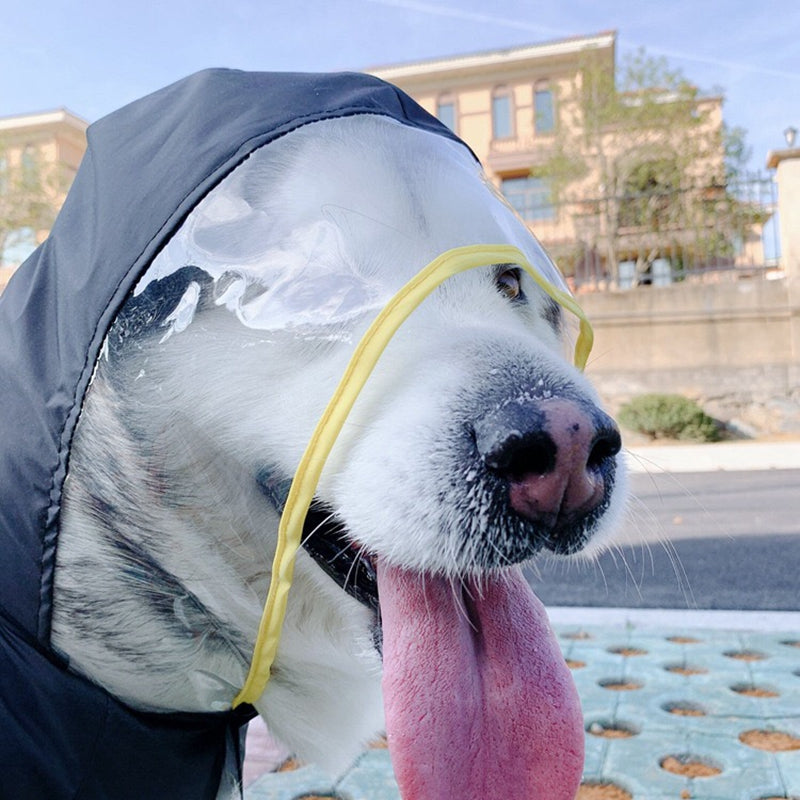 KFX-6535741 Waterproof Pet Raincoat - Lightweight and Portable Polyester Design