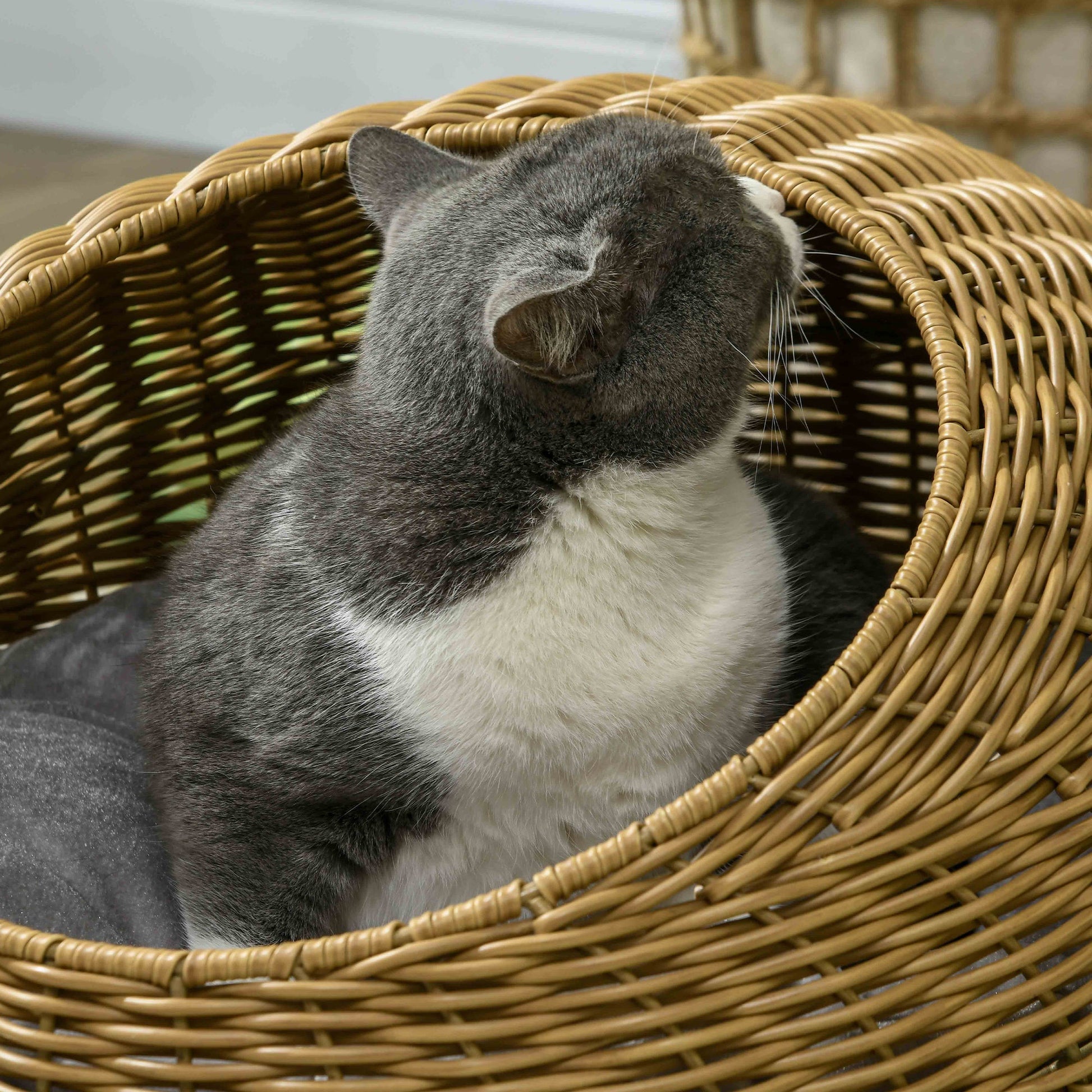 KFX-6541757 Light Brown Rattan Cat Bed with Washable Cushion for Cats and Puppies Under 9 lbs.