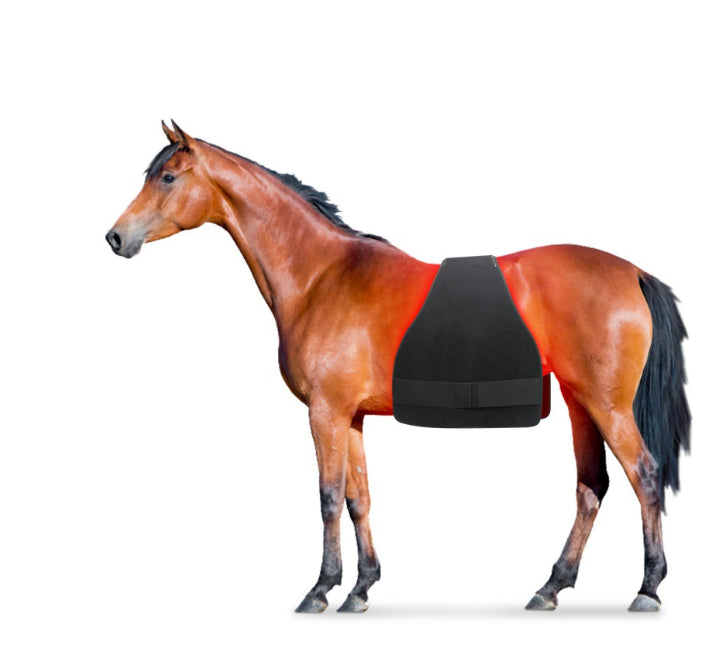 KFX-6542397 High Power Infrared Physiotherapy Pad for Horse Abdomen, Leg, and Back Relief