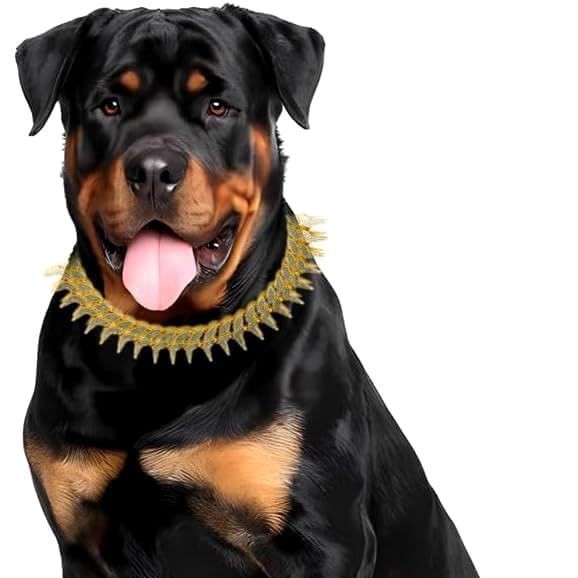 KFX-6551485 Plaid Diamond Pet Neckband Necklace in Gold, Silver, and Rose Gold - Multiple Sizes Available
