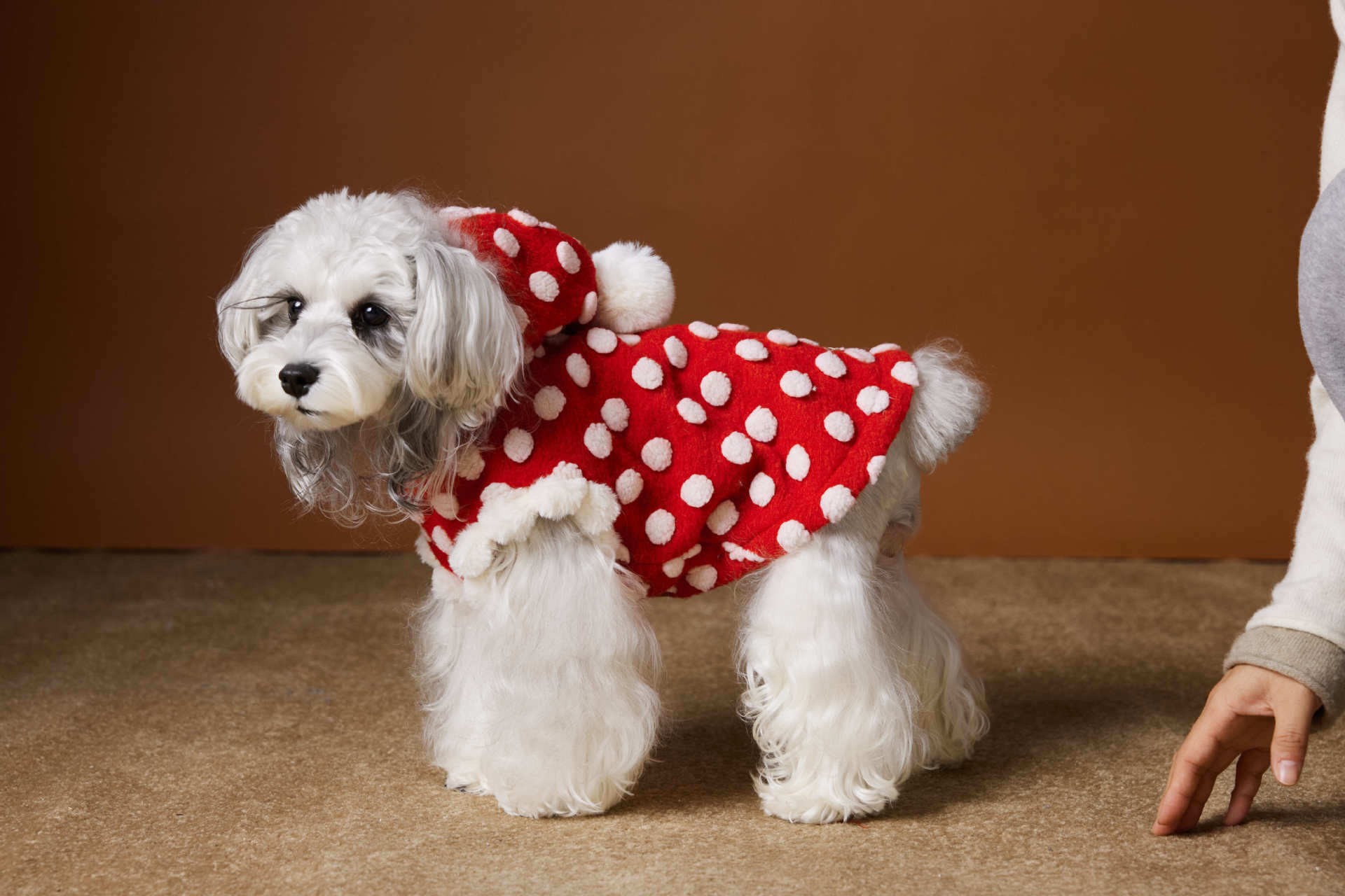 KFX-6554429 Red Polka Dot Sleeveless Hooded Vest Coat for Pets