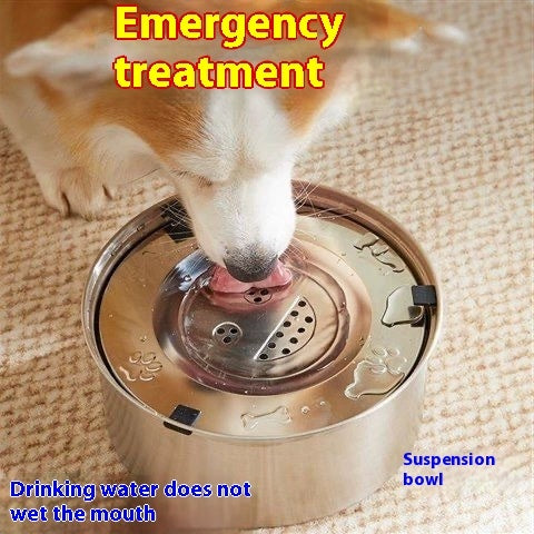 KFX-6554685 Large Capacity Stainless Steel Pet Water Bowl for Dogs and Cats - 1L, 3L, 5.6L Options Available