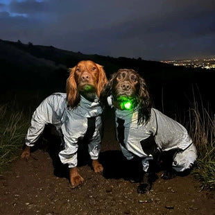 KFX-6560957 Reflective Waterproof Raincoat for Dogs - Available in Multiple Sizes