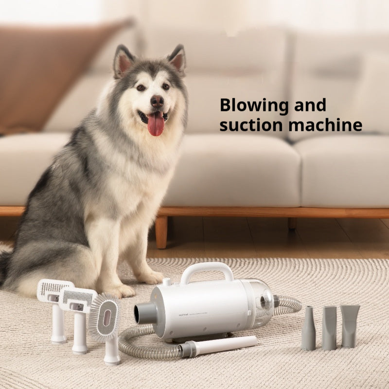 KFX-6565949 Silent Pet Dryer for Efficient Blowing and Sucking, 2000W, 220V Power