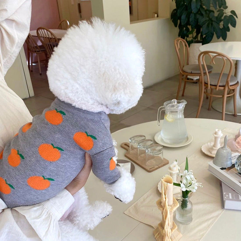 KFX-6568125 Knitted Pet Sweater for Autumn and Winter in Various Colors and Patterns