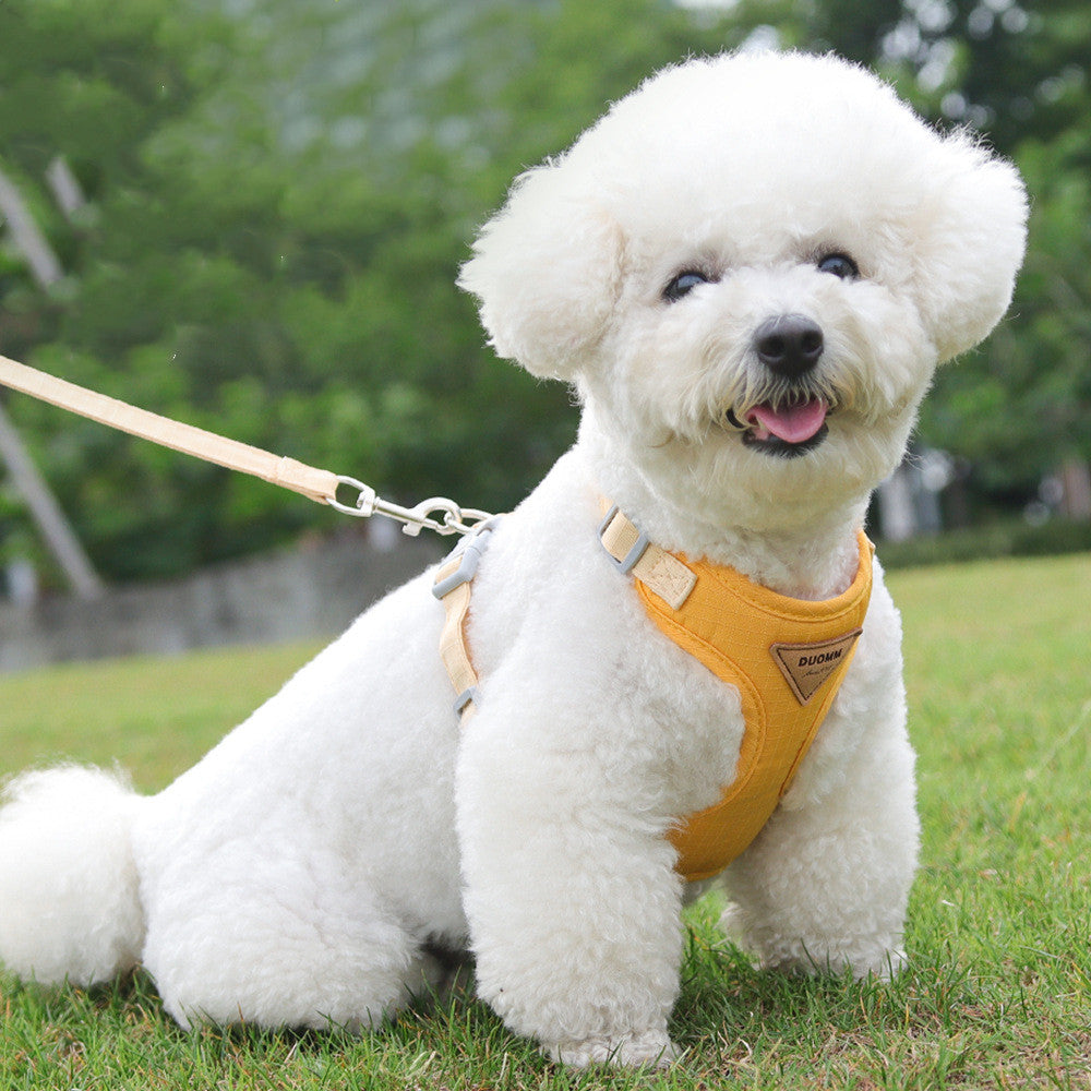 KFX-6569917 Adjustable Mesh Pet Harness and Leash Set for Small Dogs in Green, Blue, Beige, and Yellow