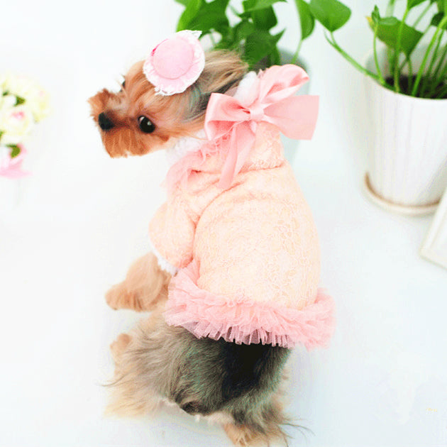 KFX-6587965 Lace Bleaching Velvet Jacket in White and Pink Meat - Comfortable and Stylish Design