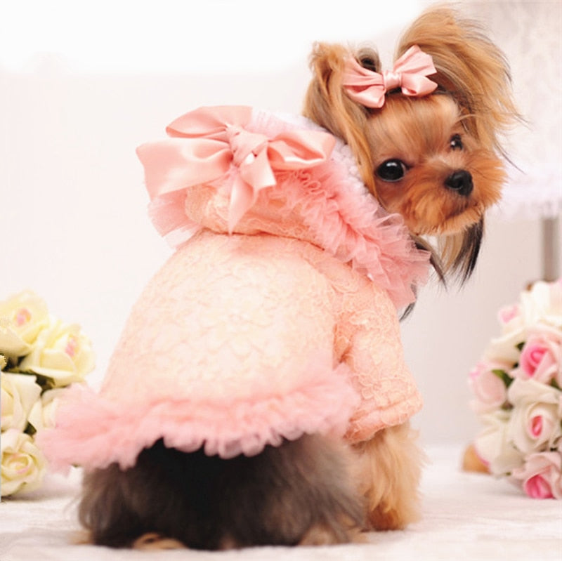 KFX-6587965 Lace Bleaching Velvet Jacket in White and Pink Meat - Comfortable and Stylish Design