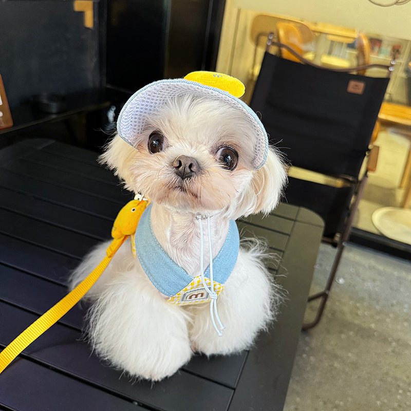 KFX-6588861 Spring Summer Pet Pulling Set with Harness, Leash, and Cute Hat for Cats and Dogs
