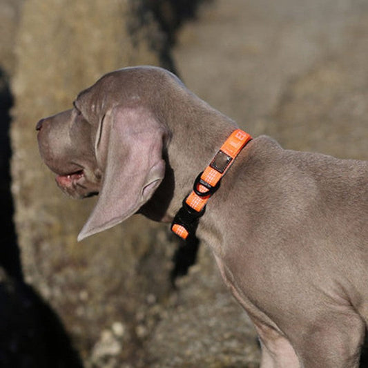 KFX-6589373 Dog Neck Diving Foam Collar - 3M Reflective, Adjustable Size Options in Orange, Gray, Green, Black