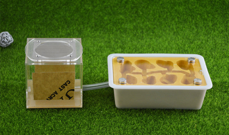 KFX-6597949 Pet Ant Flat Gypsum Nest with Feeding Box - Yellow, 17.5x5x12.5cm, 10mm Aperture