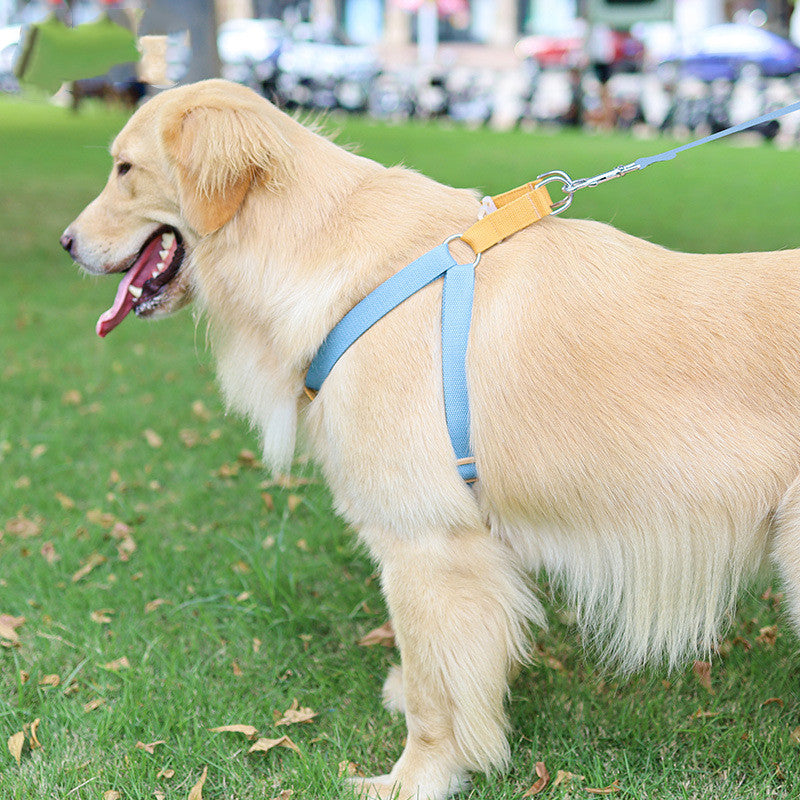 KFX-6602173 Drawstring Adjustable Chest Strap Dog Leash with Polyester Cotton Material
