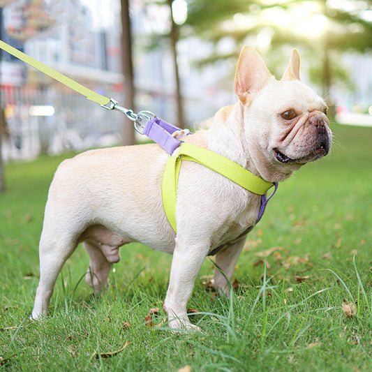 KFX-6602173 Drawstring Adjustable Chest Strap Dog Leash with Polyester Cotton Material