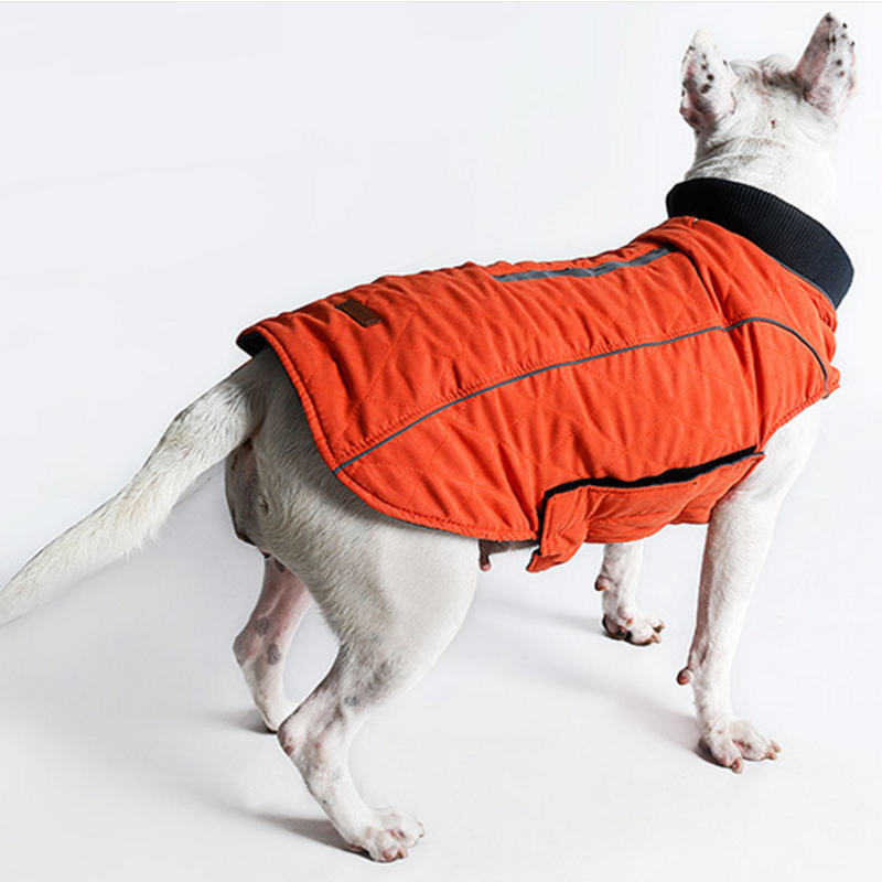 KFX-6607037 Pet Thermal Jacket Vest - Water-Resistant, Reflective, Warmth-Enhancing Design with Neck Collar