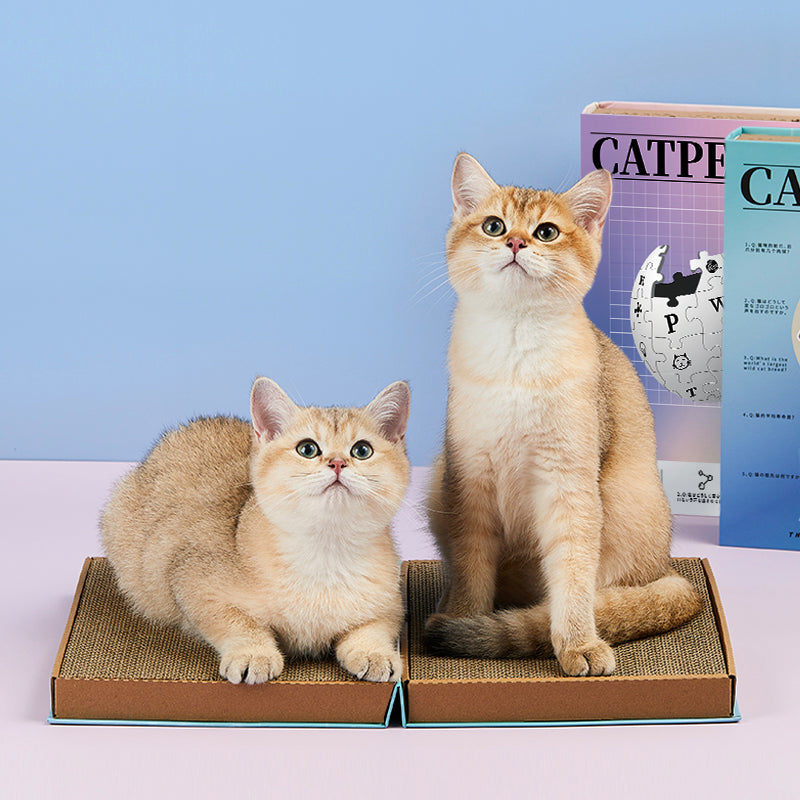 KFX-6614589 Corrugated Cat Scratching Board - Sci-Fi Blue & Dreamy Purple Powder, Dual-Sized Design for Claw Grinding