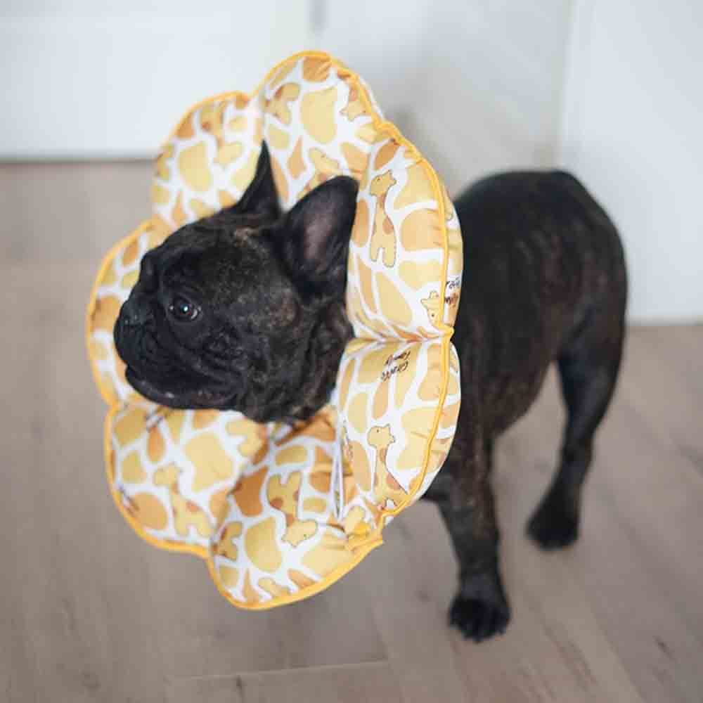 KFX-6616381 Waterproof Dog Headgear for Anti-Licking and Anti-Biting Protection