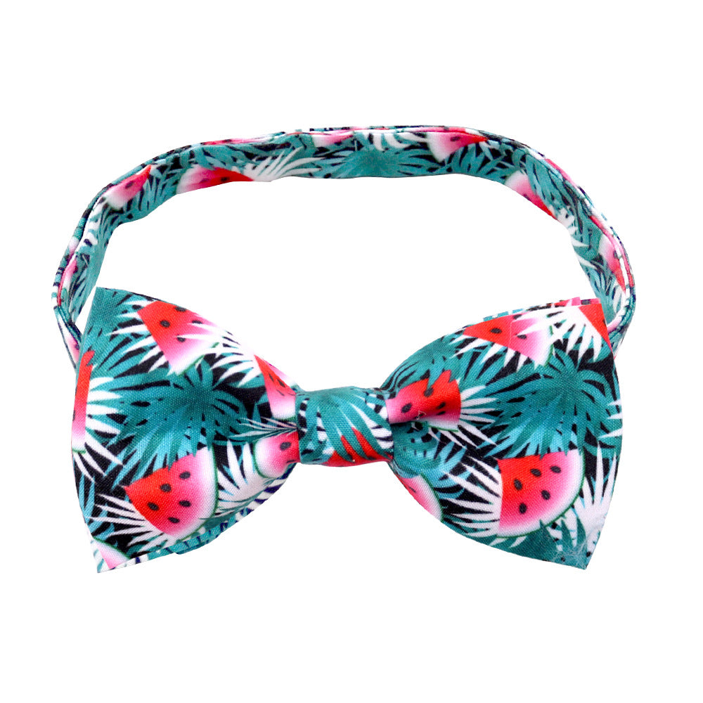 KFX-6616637 Tropical Fruit-Themed Bow Tie for Dogs and Cats - Cactus, Pineapple, Lemon Patterns