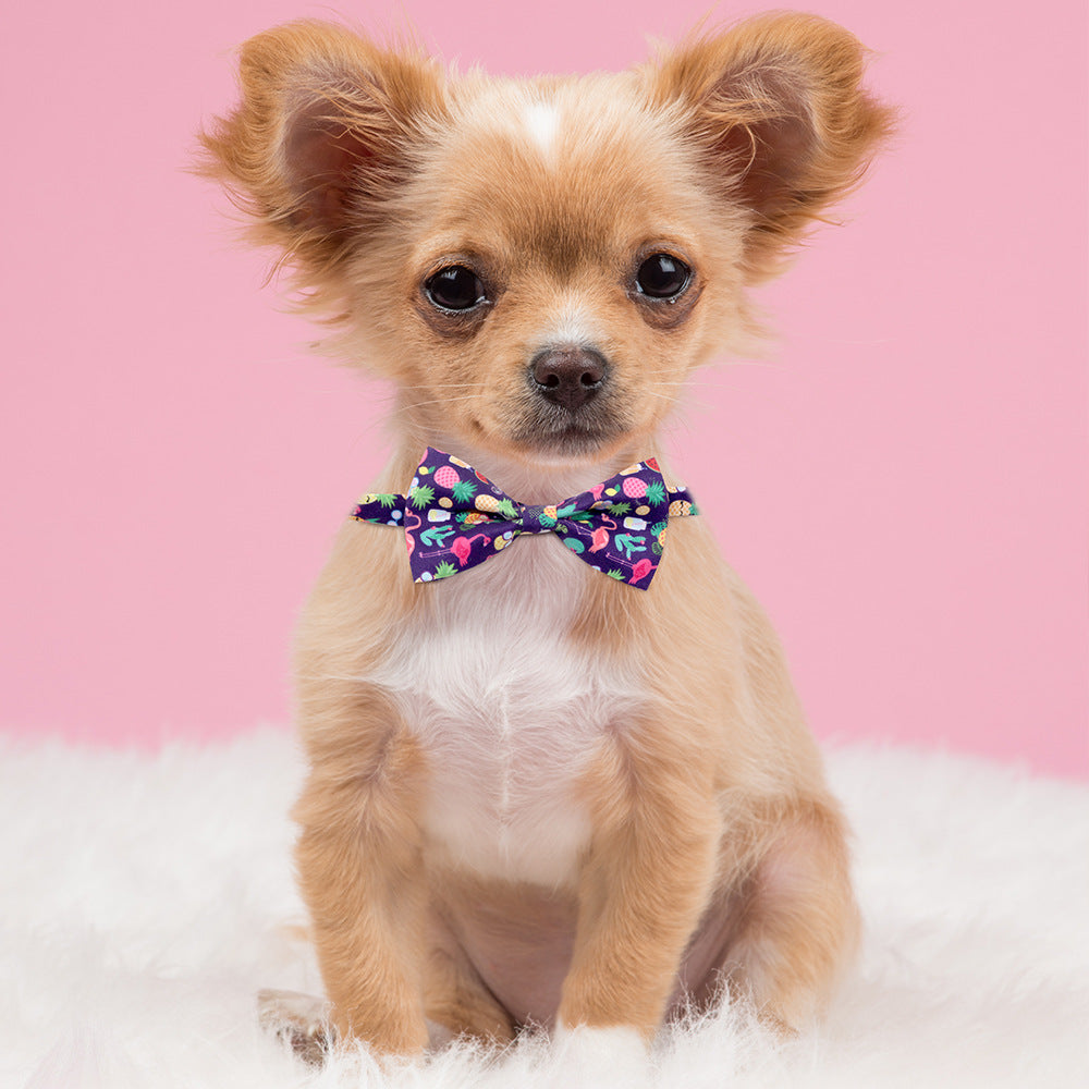 KFX-6616637 Tropical Fruit-Themed Bow Tie for Dogs and Cats - Cactus, Pineapple, Lemon Patterns