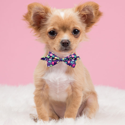 KFX-6616637 Tropical Fruit-Themed Bow Tie for Dogs and Cats - Cactus, Pineapple, Lemon Patterns