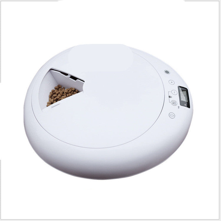 KFX-6620349 Automatic Six-Hole Feeder with Voice Reminder for Dogs and Cats