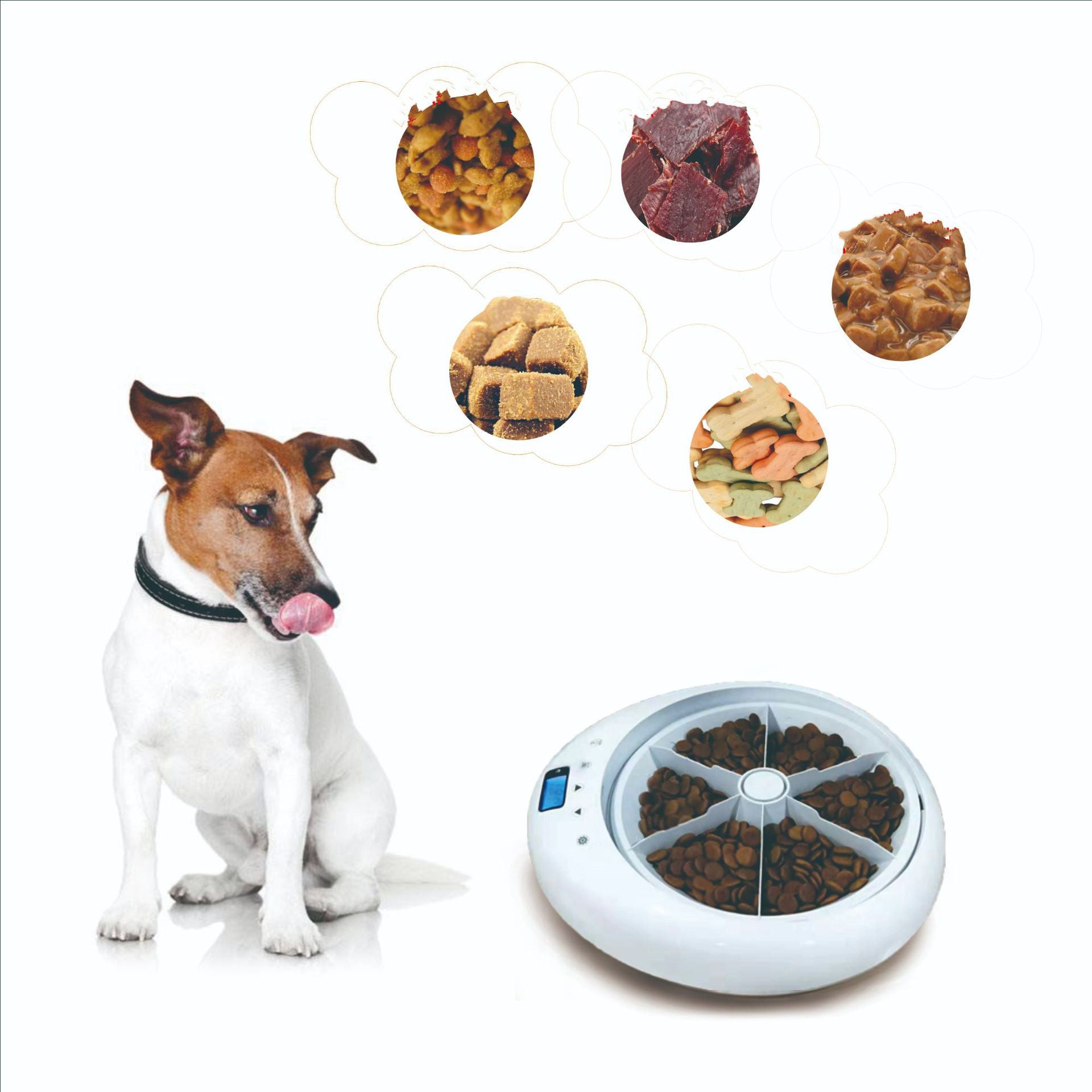 KFX-6620349 Automatic Six-Hole Feeder with Voice Reminder for Dogs and Cats