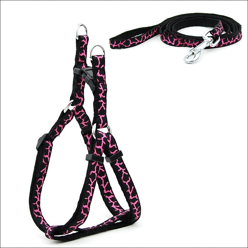 KFX-6629181 Adjustable Cat and Dog Leash with Chest Strap, Durable PP Material