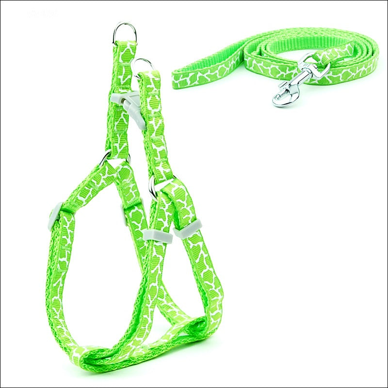 KFX-6629181 Adjustable Cat and Dog Leash with Chest Strap, Durable PP Material